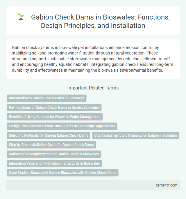 Gabion Check Dams in Bioswales: Functions, Design Principles, and Installation