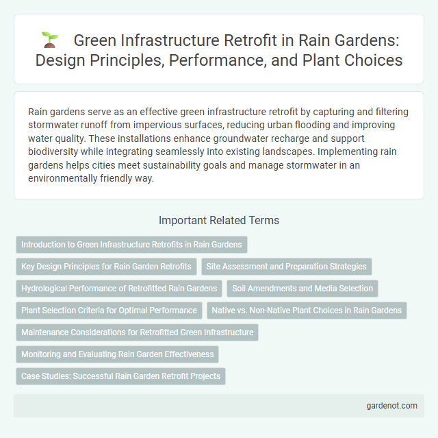 Green Infrastructure Retrofit in Rain Gardens: Design Principles, Performance, and Plant Choices