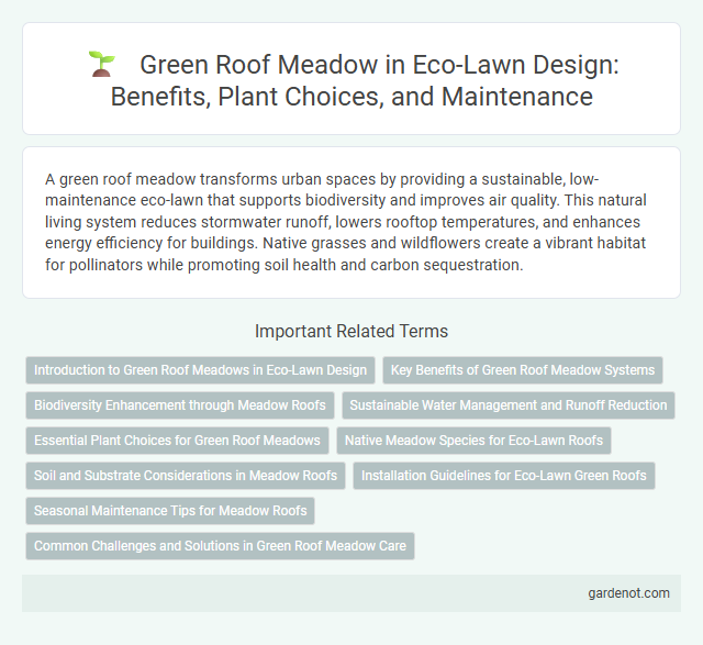 Green Roof Meadow in Eco-Lawn Design: Benefits, Plant Choices, and Maintenance