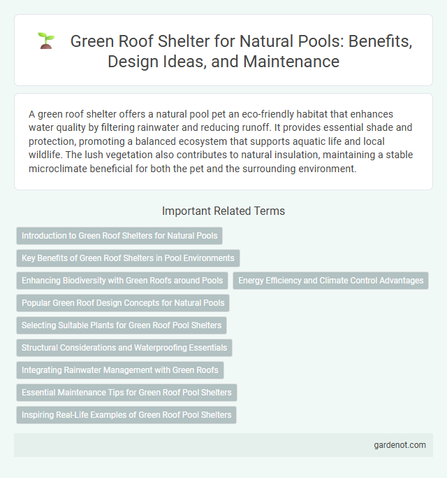 Green Roof Shelter for Natural Pools: Benefits, Design Ideas, and Maintenance