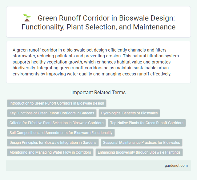 Green Runoff Corridor in Bioswale Design: Functionality, Plant Selection, and Maintenance