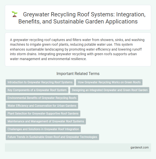 Greywater Recycling Roof Systems: Integration, Benefits, and Sustainable Garden Applications