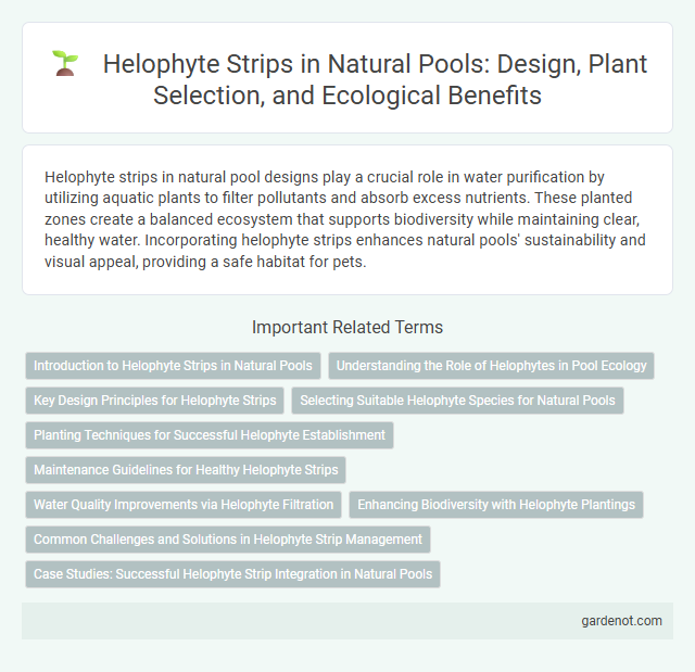 Helophyte Strips in Natural Pools: Design, Plant Selection, and Ecological Benefits