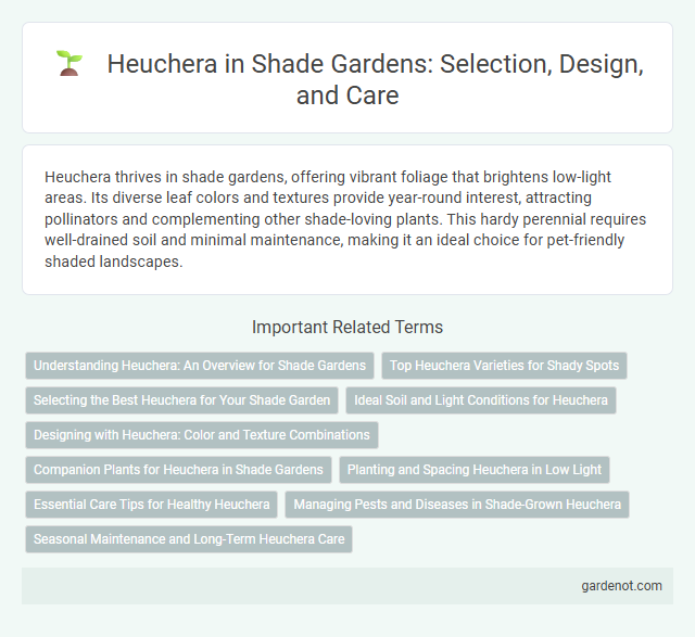 Heuchera in Shade Gardens: Selection, Design, and Care