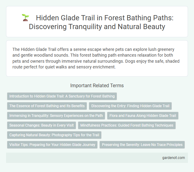 Hidden Glade Trail in Forest Bathing Paths: Discovering Tranquility and Natural Beauty