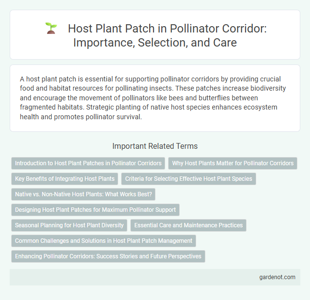 Host Plant Patch in Pollinator Corridor: Importance, Selection, and Care