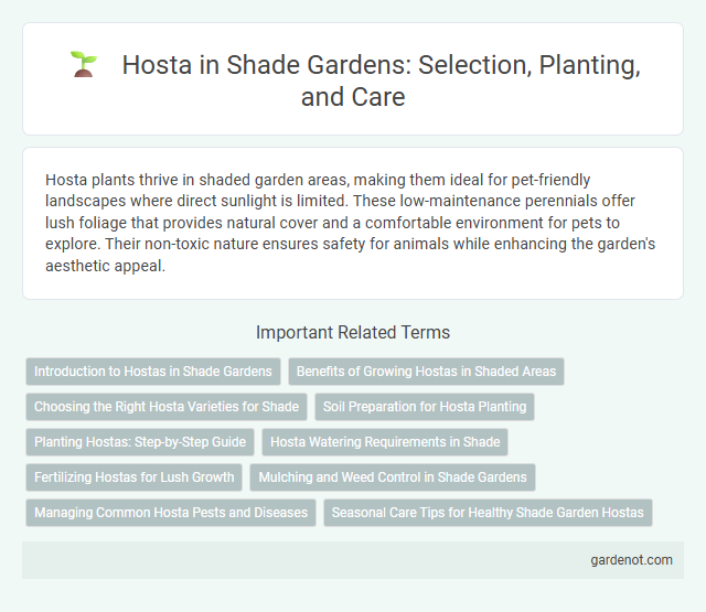 Hosta in Shade Gardens: Selection, Planting, and Care