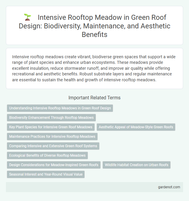 Intensive Rooftop Meadow in Green Roof Design: Biodiversity, Maintenance, and Aesthetic Benefits