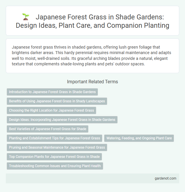 Japanese Forest Grass in Shade Gardens: Design Ideas, Plant Care, and Companion Planting