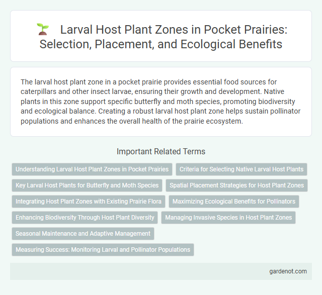 Larval Host Plant Zones in Pocket Prairies: Selection, Placement, and Ecological Benefits