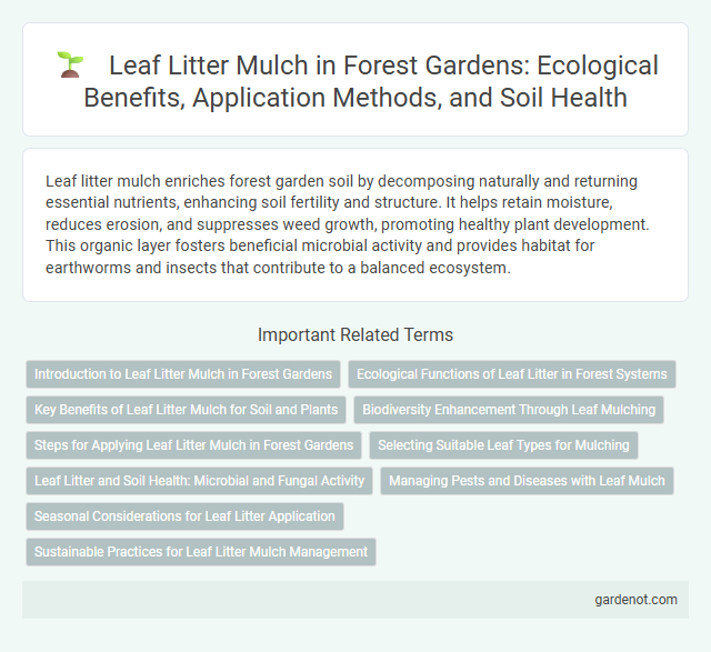 Leaf Litter Mulch in Forest Gardens: Ecological Benefits, Application Methods, and Soil Health