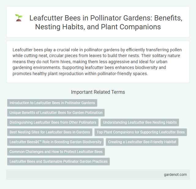 Leafcutter Bees in Pollinator Gardens: Benefits, Nesting Habits, and Plant Companions