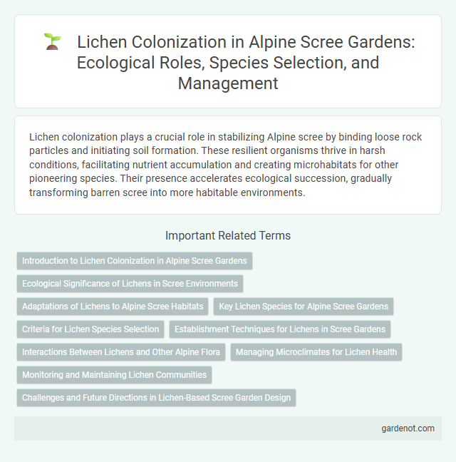 Lichen Colonization in Alpine Scree Gardens: Ecological Roles, Species Selection, and Management