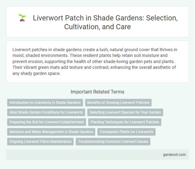 Liverwort Patch in Shade Gardens: Selection, Cultivation, and Care