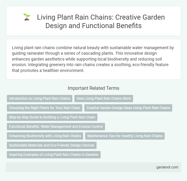Living Plant Rain Chains: Creative Garden Design and Functional Benefits