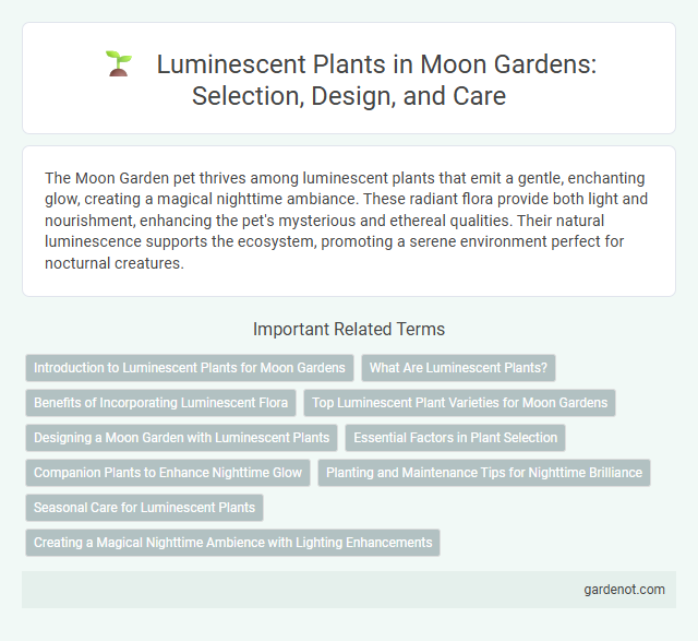 Luminescent Plants in Moon Gardens: Selection, Design, and Care