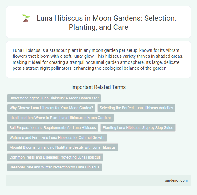 Luna Hibiscus in Moon Gardens: Selection, Planting, and Care