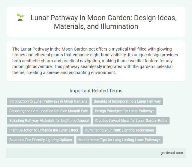 Lunar Pathway in Moon Garden: Design Ideas, Materials, and Illumination