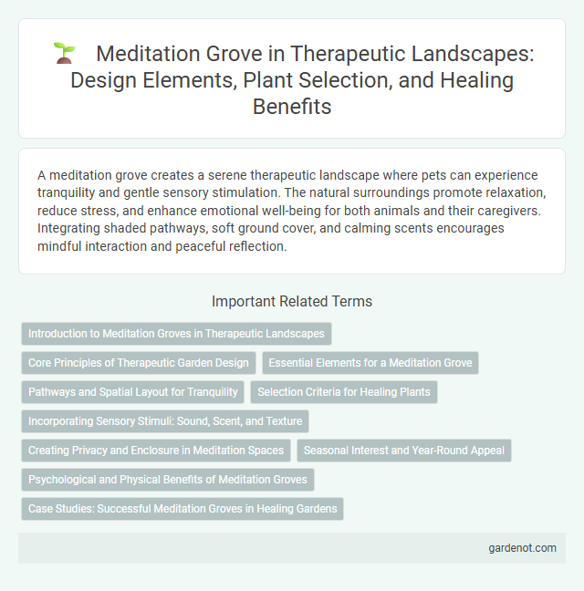 Meditation Grove in Therapeutic Landscapes: Design Elements, Plant Selection, and Healing Benefits