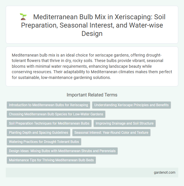 Mediterranean Bulb Mix in Xeriscaping: Soil Preparation, Seasonal Interest, and Water-wise Design