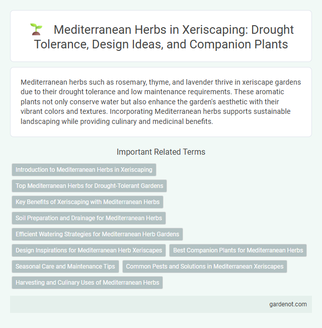 Mediterranean Herbs in Xeriscaping: Drought Tolerance, Design Ideas, and Companion Plants