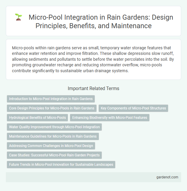 Micro-Pool Integration in Rain Gardens: Design Principles, Benefits, and Maintenance