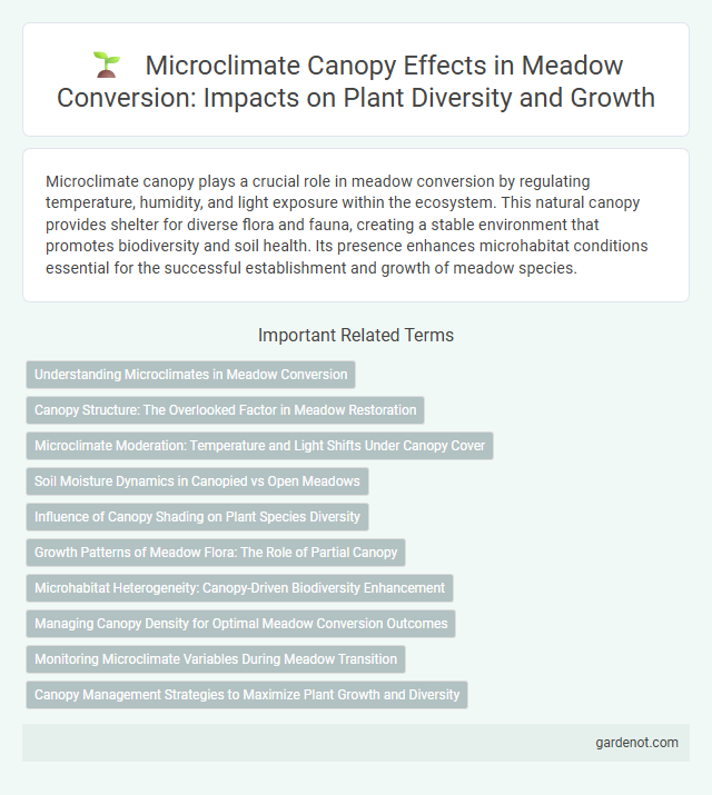 Microclimate Canopy Effects in Meadow Conversion: Impacts on Plant Diversity and Growth