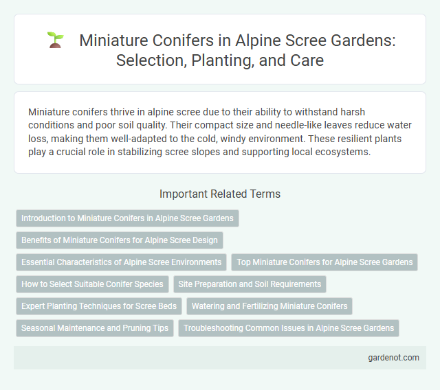 Miniature Conifers in Alpine Scree Gardens: Selection, Planting, and Care