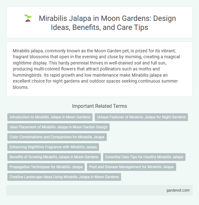 Mirabilis Jalapa in Moon Gardens: Design Ideas, Benefits, and Care Tips