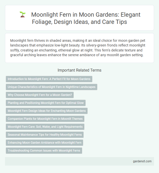 Moonlight Fern in Moon Gardens: Elegant Foliage, Design Ideas, and Care Tips