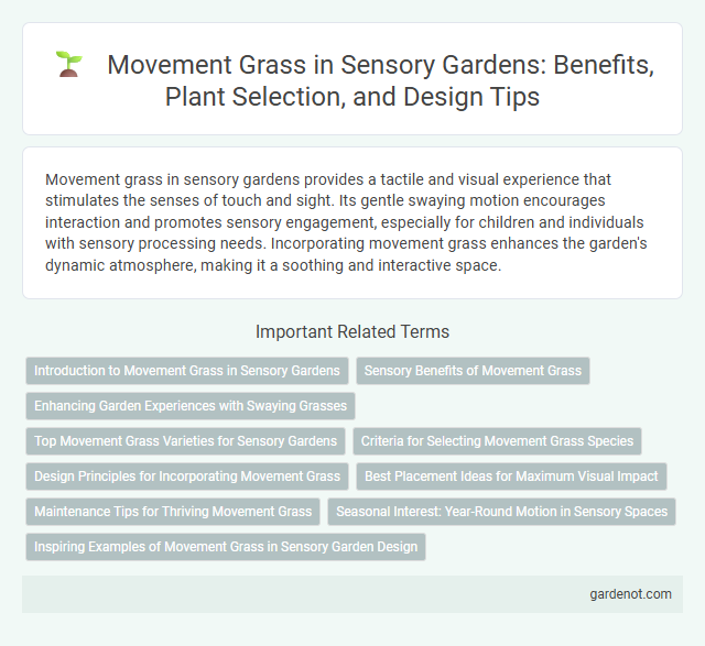 Movement Grass in Sensory Gardens: Benefits, Plant Selection, and Design Tips