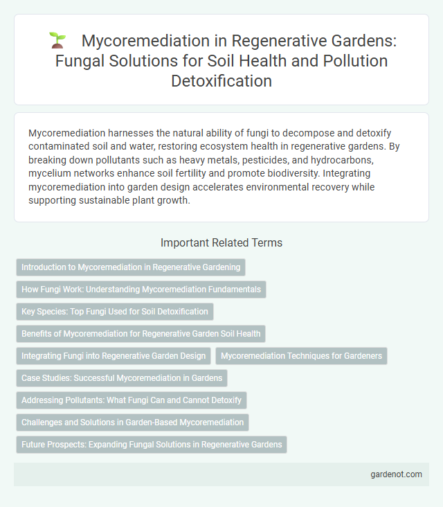 Mycoremediation in Regenerative Gardens: Fungal Solutions for Soil Health and Pollution Detoxification