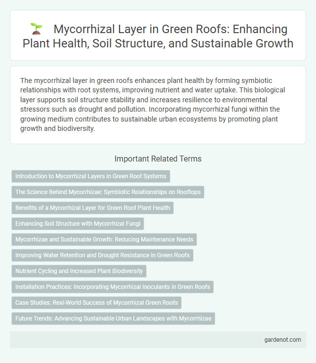 Mycorrhizal Layer in Green Roofs: Enhancing Plant Health, Soil Structure, and Sustainable Growth