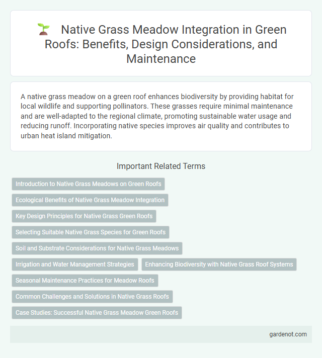Native Grass Meadow Integration in Green Roofs: Benefits, Design Considerations, and Maintenance