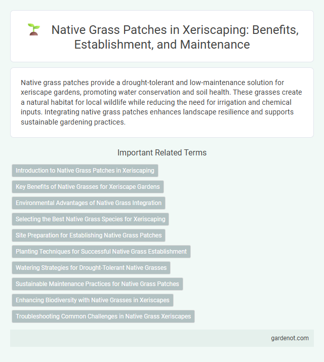 Native Grass Patches in Xeriscaping: Benefits, Establishment, and Maintenance
