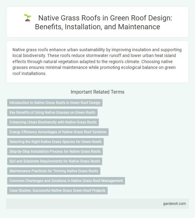Native Grass Roofs in Green Roof Design: Benefits, Installation, and Maintenance