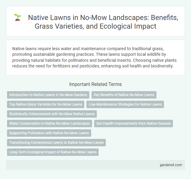 Native Lawns in No-Mow Landscapes: Benefits, Grass Varieties, and Ecological Impact