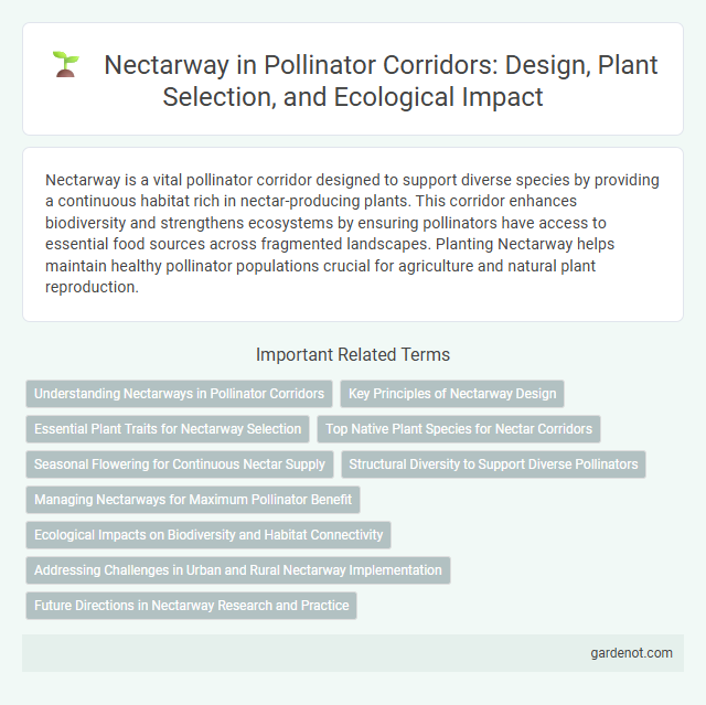 Nectarway in Pollinator Corridors: Design, Plant Selection, and Ecological Impact