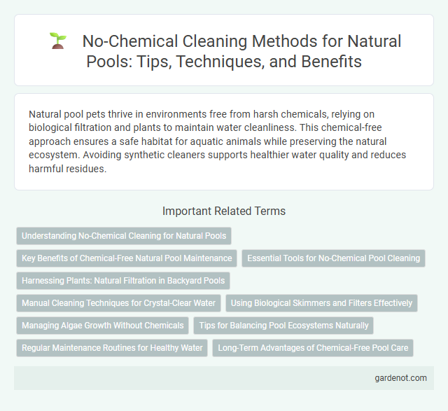 No-Chemical Cleaning Methods for Natural Pools: Tips, Techniques, and Benefits