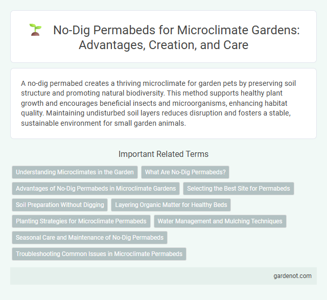 No-Dig Permabeds for Microclimate Gardens: Advantages, Creation, and Care