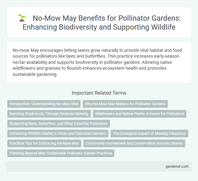 No-Mow May Benefits for Pollinator Gardens: Enhancing Biodiversity and Supporting Wildlife