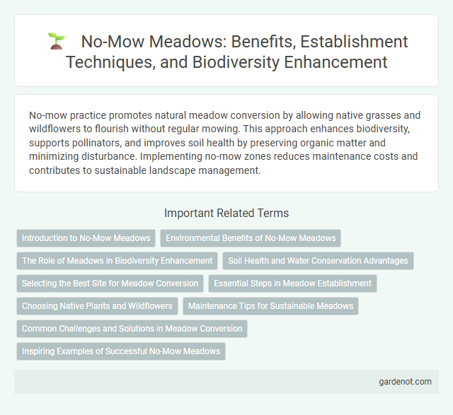 No-Mow Meadows: Benefits, Establishment Techniques, and Biodiversity Enhancement