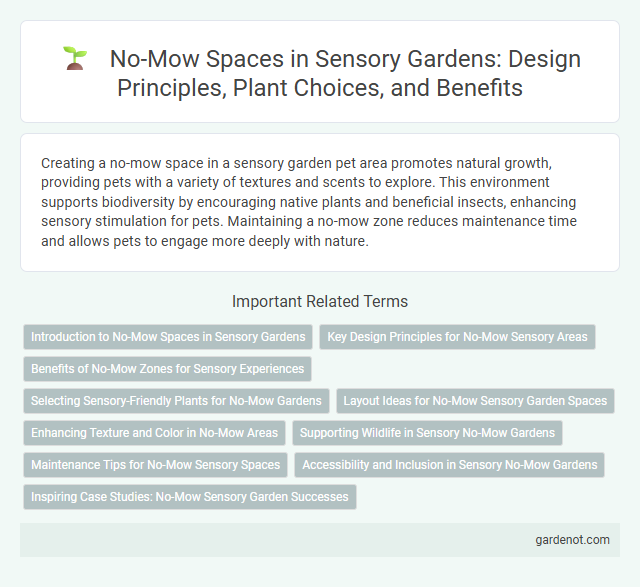No-Mow Spaces in Sensory Gardens: Design Principles, Plant Choices, and Benefits