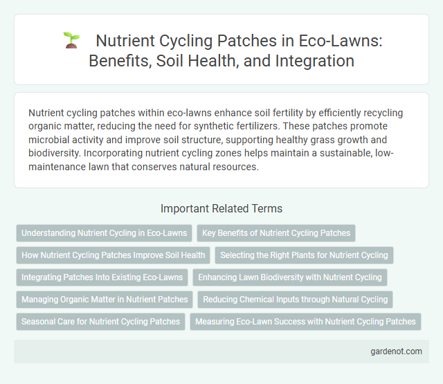 Nutrient Cycling Patches in Eco-Lawns: Benefits, Soil Health, and Integration