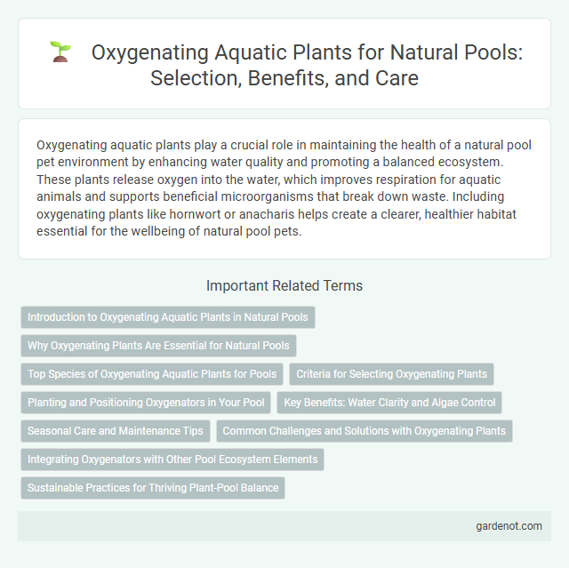Oxygenating Aquatic Plants for Natural Pools: Selection, Benefits, and Care