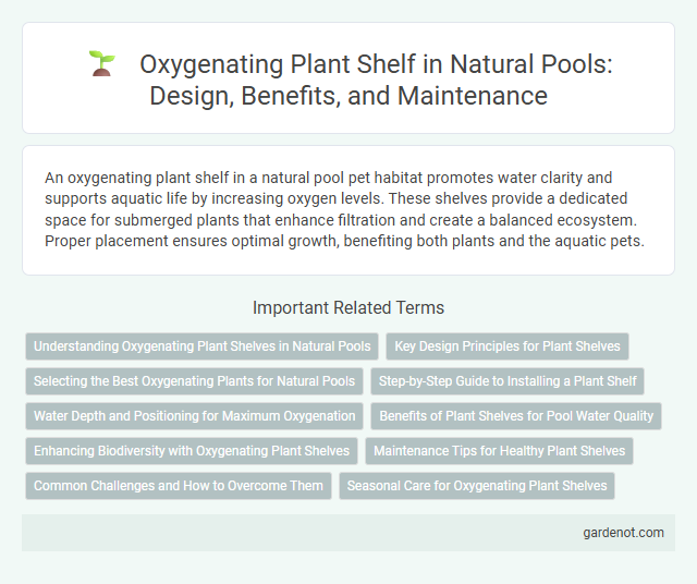 Oxygenating Plant Shelf in Natural Pools: Design, Benefits, and Maintenance