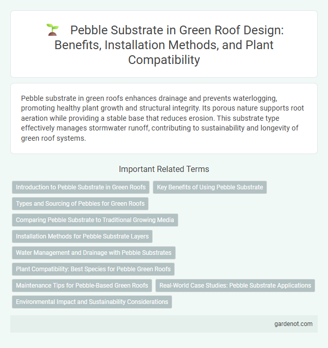 Pebble Substrate in Green Roof Design: Benefits, Installation Methods, and Plant Compatibility