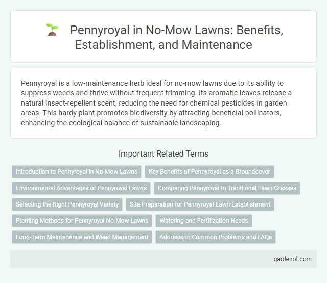 Pennyroyal in No-Mow Lawns: Benefits, Establishment, and Maintenance
