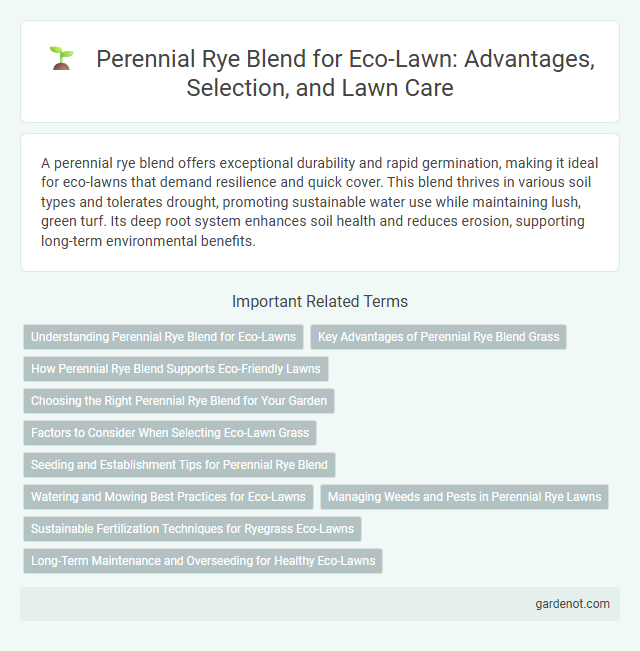 Perennial Rye Blend for Eco-Lawn: Advantages, Selection, and Lawn Care