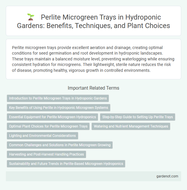 Perlite Microgreen Trays in Hydroponic Gardens: Benefits, Techniques, and Plant Choices